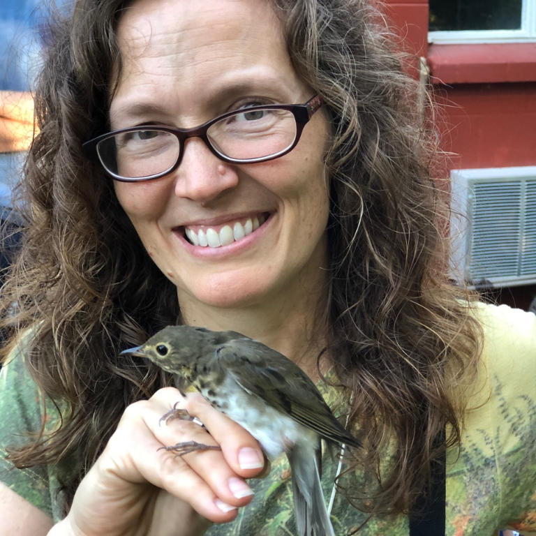 Eve Cusack holds a Swainson's Thrush.